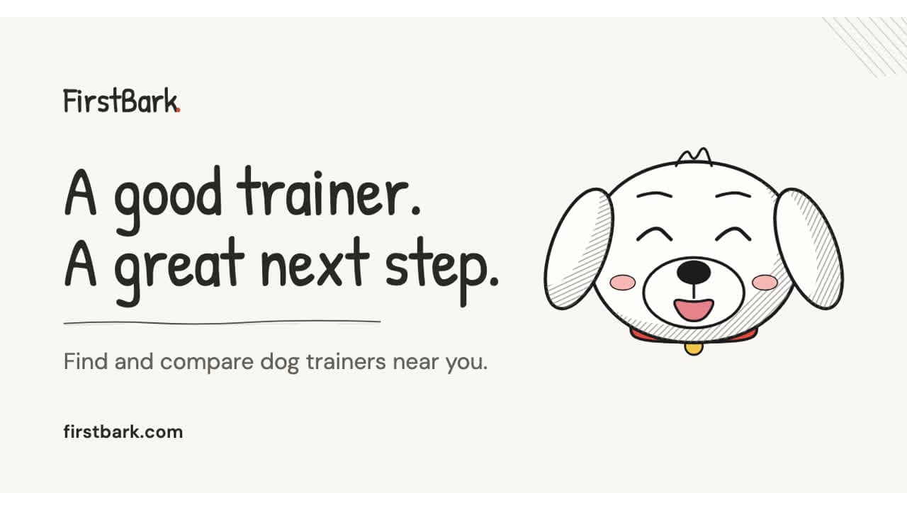FirstBark screenshot: A good trainer. A great next step. Find dog training near you.